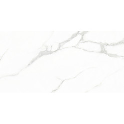 Плитка керамогранитная AZARIO WHITE CARARRA 60х120 Glossy (GJT612670)